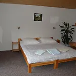 Sokolica