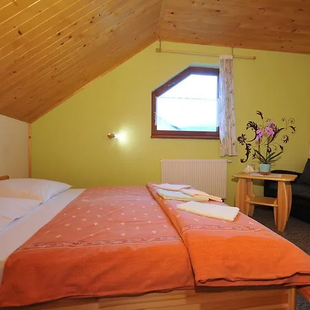 게스트하우스 Sokolica 3*