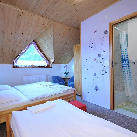 게스트하우스 Sokolica 3*