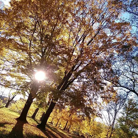 Sokolica 3* Červený Kláštor