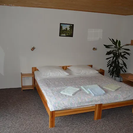 Sokolica