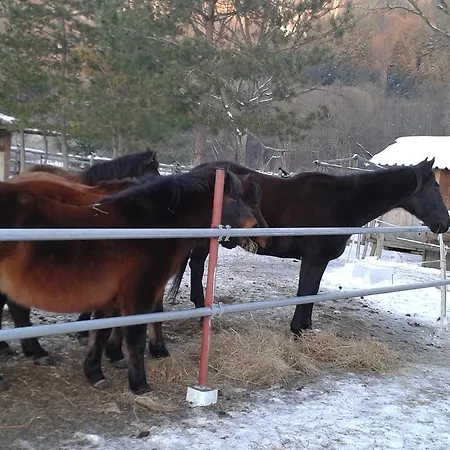 Sokolica Červený Kláštor